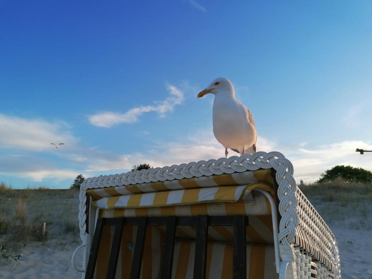 Ferienwohnung Strandburg ゼーバート・ヘリングスドルフ エクステリア 写真